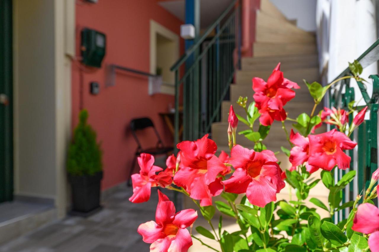 Apartment Ileana -marina 2 *